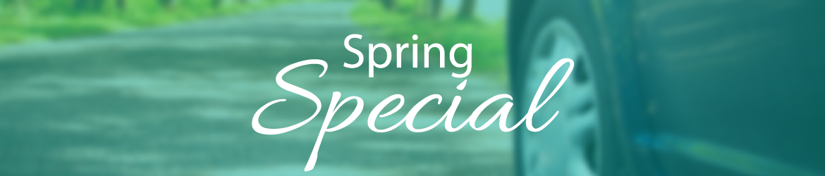 5 Reasons to Take Advantage of the Spring Special